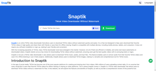 SnapTik: The Simple Video Downloader for Saving Online Videos